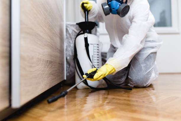 Best Residential Pest Control  in Belle Plaine, KS