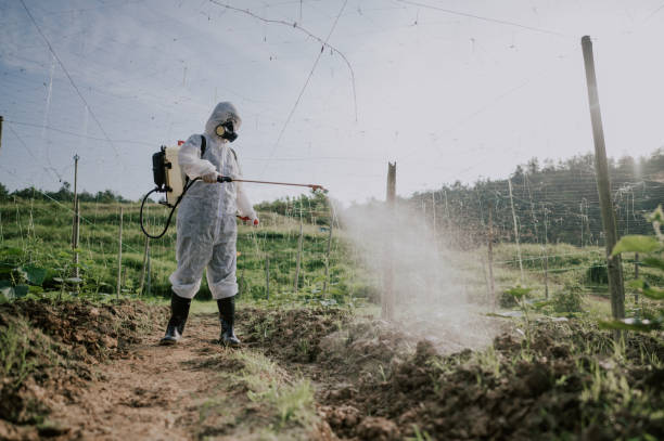 Best Ant Control Services  in Belle Plaine, KS