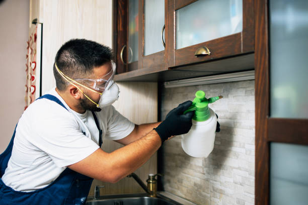 Best Flea Control Services  in Belle Plaine, KS