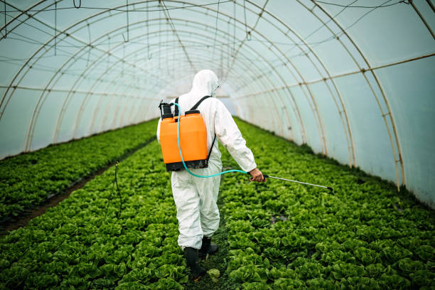 Best Commercial Pest Control Services  in Belle Plaine, KS