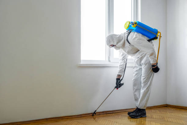 Flea Control Services in Belle Plaine, KS