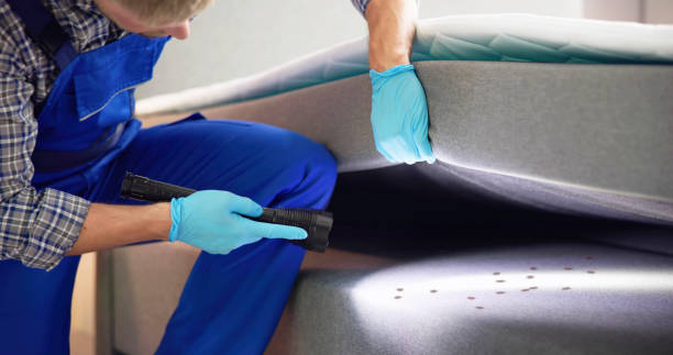 Best Affordable Pest Control Services  in Belle Plaine, KS