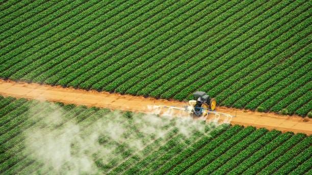 Best Pest Removal Services  in Belle Plaine, KS